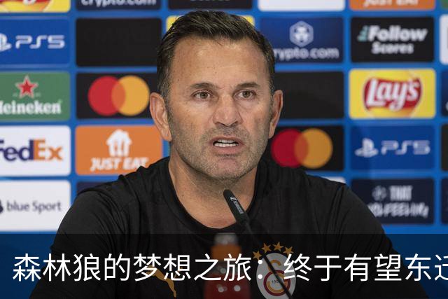森林狼的梦想之旅：终于有望东迁了！