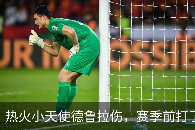 热火小天使德鲁拉伤，赛季前打了个“小短工